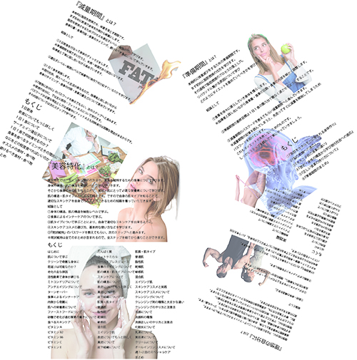 pdfのイメージ資料